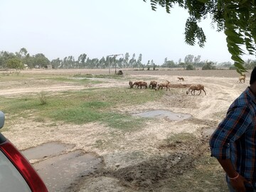  Plot For Sale in Sector 63a