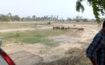 Plot For Sale in Sector 63a