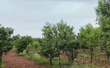 Plot at Hastinapuram – for Sale