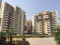3 BHK Apartment For Sale in TDI Ourania