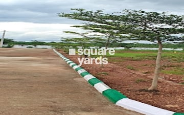 Plot at Sector 61 – for Sale