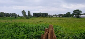   Plot at JK Yavat Central, Yavat – for Sale