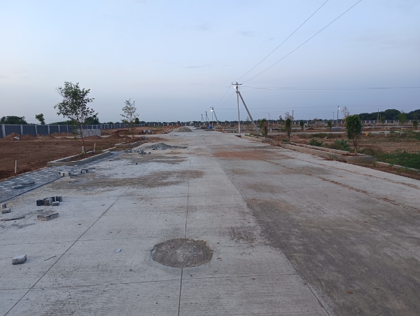 Plot For Sale in XU 1 Greater Noida