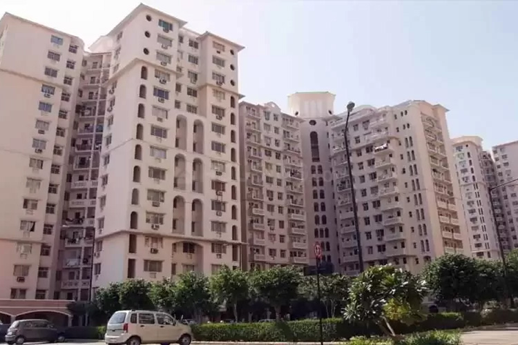 2.5 BHK + Study Room Apartment For Rent in DLF The Princeton Estate
