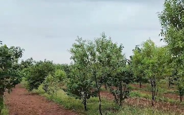 Plot at Kokapet – for Sale