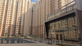 1 BHK Apartment For Rent in Dharma Nagar CHS Borivali West Mumbai  8025585