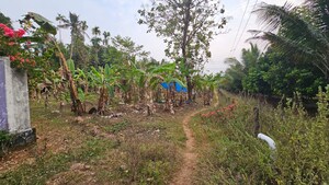  Land For Sale in Chalakudy