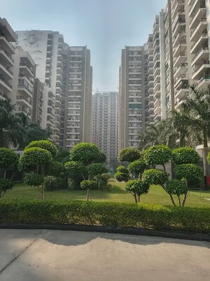  Apartment For Sale in Sector 143