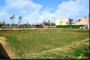  Plot For Sale in BPTP District, Sector 81