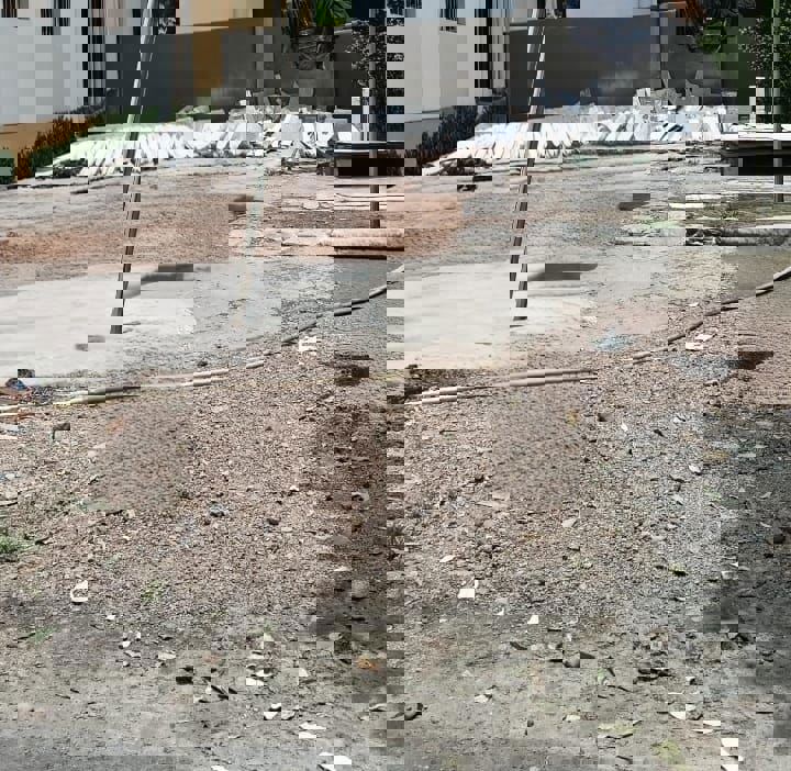 Plot For Sale in Pratap Nagar