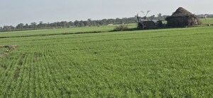  Land – Garden View at Jewar - for Sale