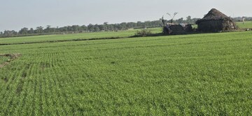  Land – Garden View at Jewar - for Sale