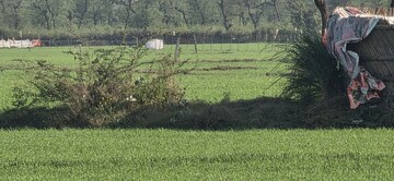 Plot Area in  Land at Jewar – for Sale