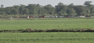 Plot Area in  Land at Jewar – for Sale