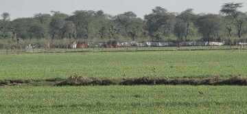 Plot Area in  Land at Jewar – for Sale