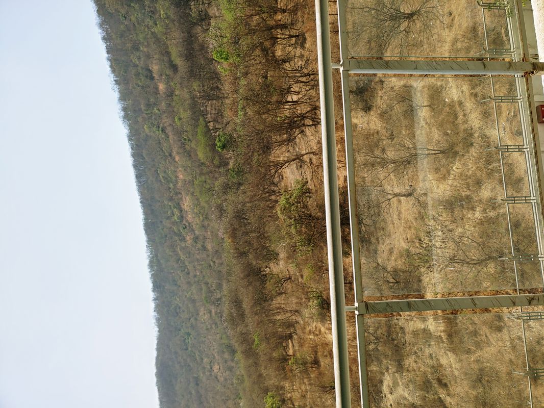 1 BHK + Servant Room Apartment For Sale in Saei Symphony