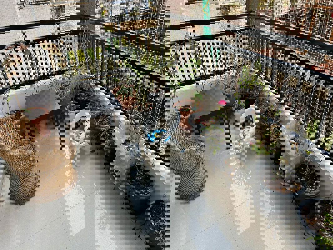 2 BHK + Pooja Room 1333 Sq.Ft. Apartment in Tricolour Palm Cove