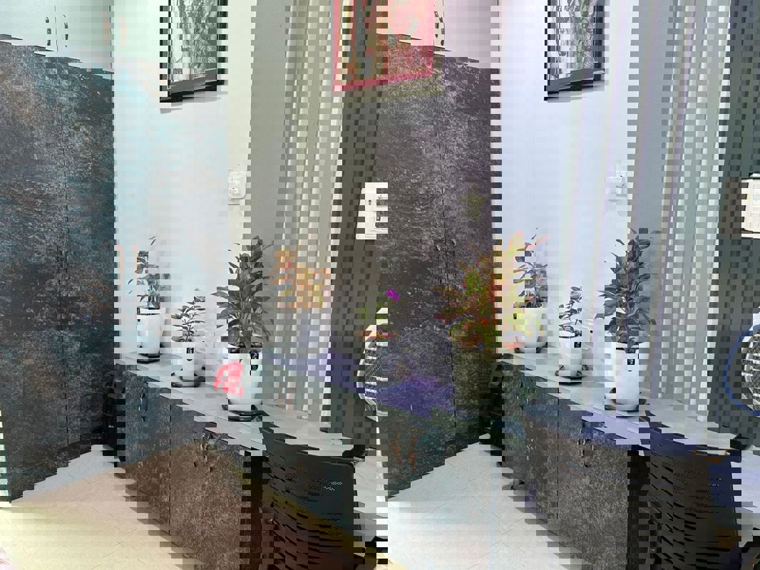 2 BHK + Pooja Room Apartment For Sale in Tricolour Palm Cove