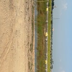 100 Sq.Yd. Plot in Dankaur