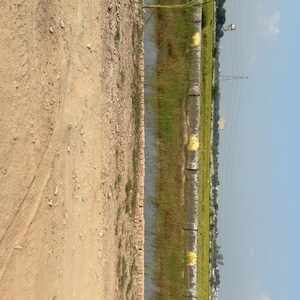  Plot For Sale in Dankaur