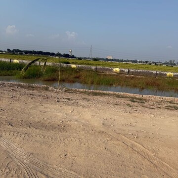 Plot Area in  Plot at Dankaur – for Sale