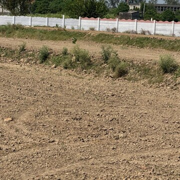 Plot Area in  Plot at Dankaur – for Sale