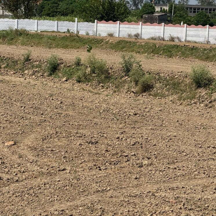 undefined, dankaur  100 Sq.Yd. Plot In Dankaur Greater Noida 9687016