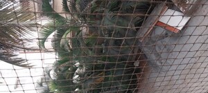 3 BHK Apartment – Exterior View View at Kadirenahalli - for Sale