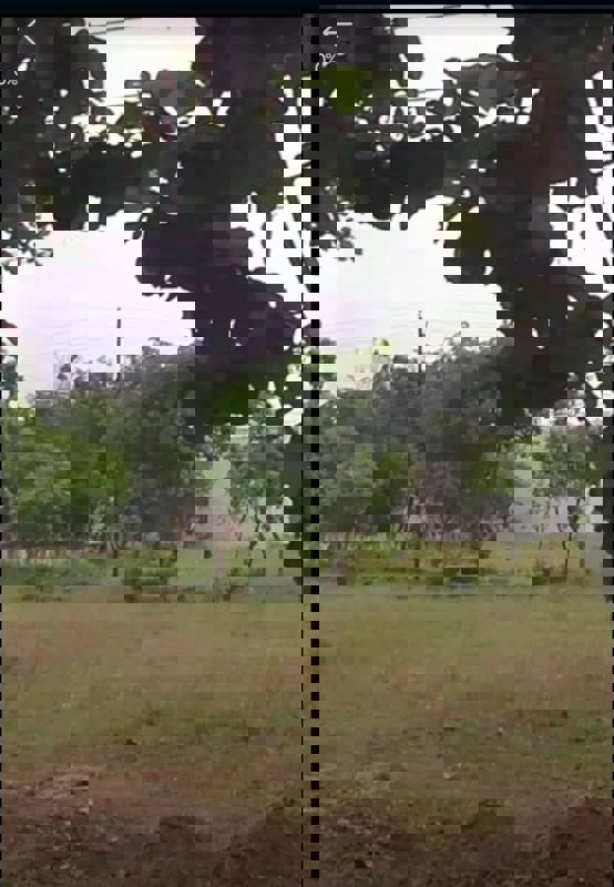 Plot For Sale in 200 Meter Plot, Sector 12