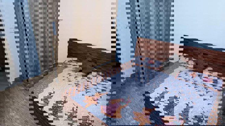 2 BHK Apartment For Rent in Tulip Lemon