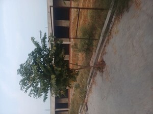  Plot – Exterior View View at Jewar - for Sale