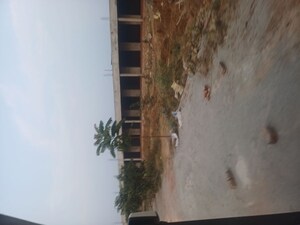  Plot For Sale in Jewar