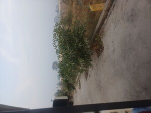  Plot – Exterior View View at Jewar - for Sale