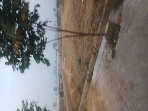 Plot Area in  Plot at Jewar – for Sale