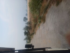  Plot For Sale in Jewar