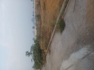 Plot Area in  Plot at Jewar – for Sale