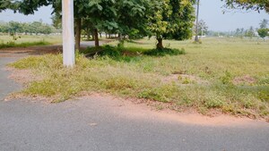 Plot Area in  Plot at Bhogapuram – for Sale