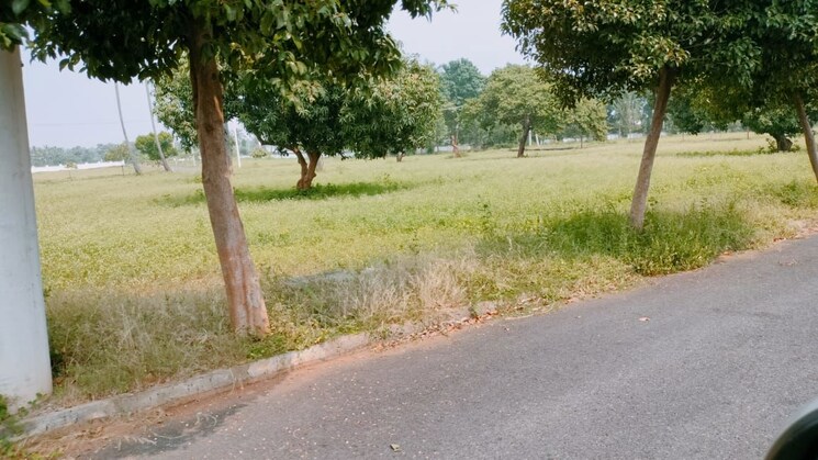 undefined, bhogapuram  267 Sq.Yd. Plot In Bhogapuram Vizag 9690065
