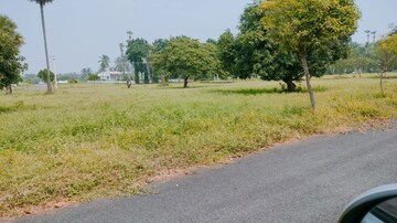 Plot Area in  Plot at Bhogapuram – for Sale