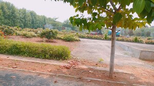 Plot Area in  Plot at Bhogapuram – for Sale