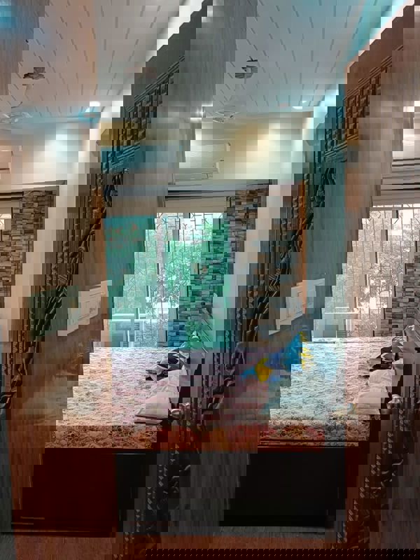 3 BHK Apartment For Rent in Group Seven Rushi Heights