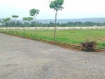 165 Sq.Yd. Plot in Bheemili