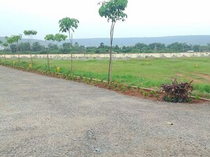  Plot For Sale in Bheemili