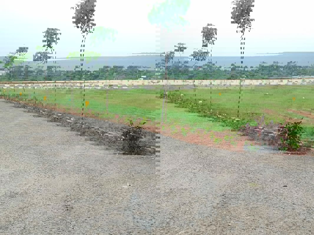 Plot For Sale in Bheemili