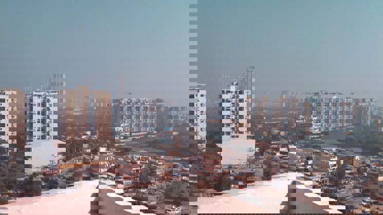 2 BHK + Pooja Room Apartment For Rent in Tulip Lemon