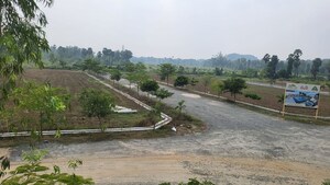  Plot For Sale in Kothavalasa