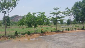 Plot Area in  Plot at Kothavalasa – for Sale