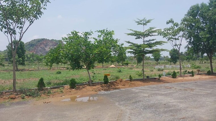 undefined, kothavalasa  240 Sq.Yd. Plot In Kothavalasa Vizag 9542369