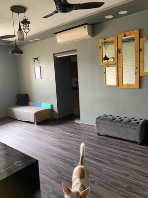 Living Room in 2 BHK Apartment at Lodha Splendora, Ghodbunder Road – for Rent