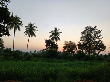  Plot – Garden View at Devanahalli - for Sale